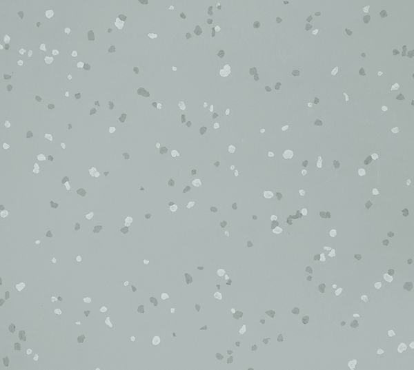 ˫ɫHSH-5003